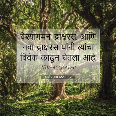Picture 07 - होशेय 4:11 MARIRV - वेश्यागमन, - Bible Verse Picture