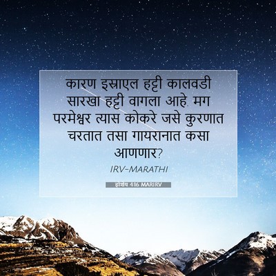 Picture 07 - होशेय 4:16 MARIRV - कारण इस्राएल - Bible Verse Picture