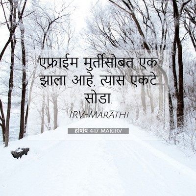 Picture 07 - होशेय 4:17 MARIRV - एफ्राईम - Bible Verse Picture