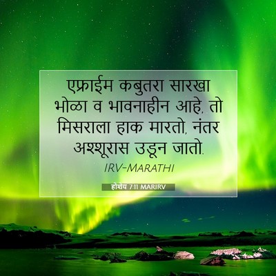 Picture 07 - होशेय 7:11 MARIRV - एफ्राईम कबुतरा - Bible Verse Picture