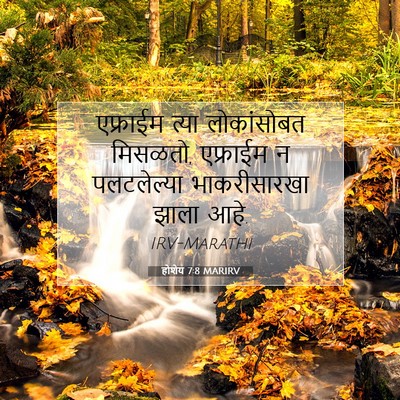 Picture 07 - होशेय 7:8 MARIRV - एफ्राईम त्या - Bible Verse Picture