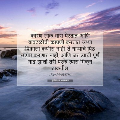 Picture 07 - होशेय 8:7 MARIRV - कारण लोक वारा - Bible Verse Picture
