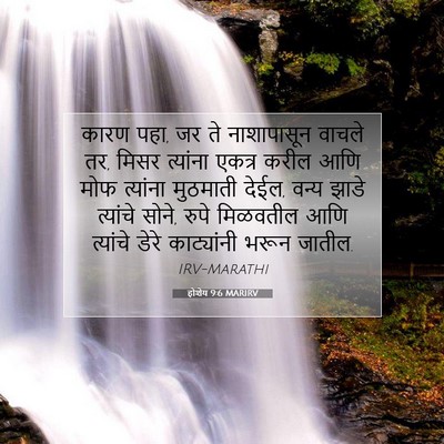 Picture 07 - होशेय 9:6 MARIRV - कारण पहा, जर ते - Bible Verse Picture