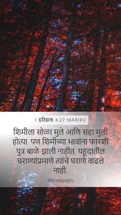 1 इतिहास 4:27 MARIRV Bible Verse Image