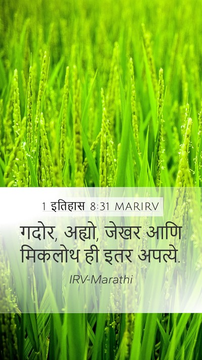 1 इतिहास 8:31 MARIRV Mobile Phone Wallpaper - गदोर, अह्यो, जेखर - Mobile Bible Verse Wallpaper