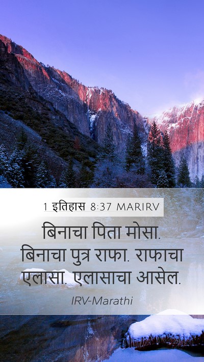 1 इतिहास 8:37 MARIRV Bible Verse Image