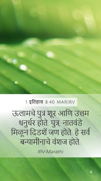 1 इतिहास 8:40 MARIRV Mobile Phone Wallpaper - ऊलामचे पुत्र शूर - Mobile Bible Verse Wallpaper