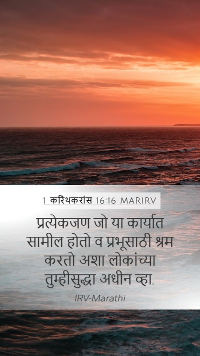 1 करिंथकरांस 16:16 MARIRV Bible Verse Image