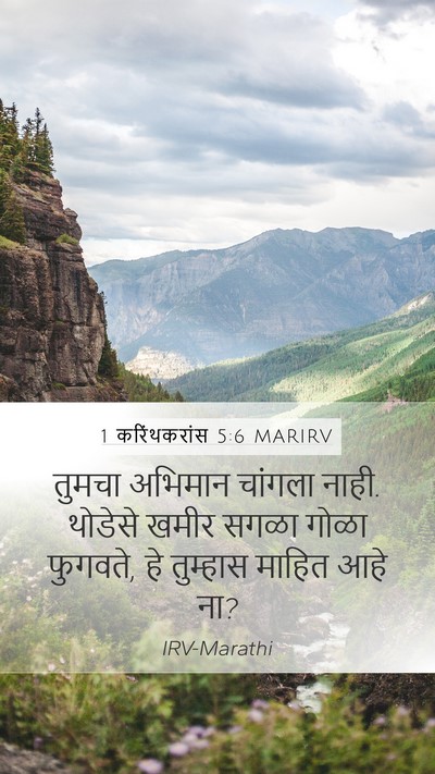 1 करिंथकरांस 5:6 MARIRV Bible Verse Image