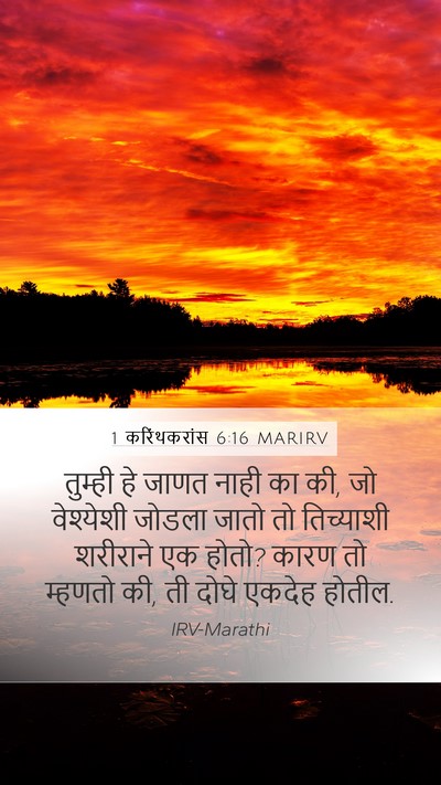 1 करिंथकरांस 6:16 MARIRV Bible Verse Image