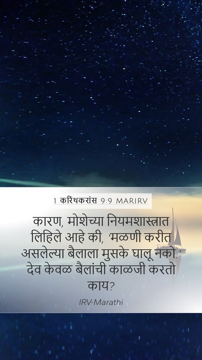 1 करिंथकरांस 9:9 MARIRV Bible Verse Image
