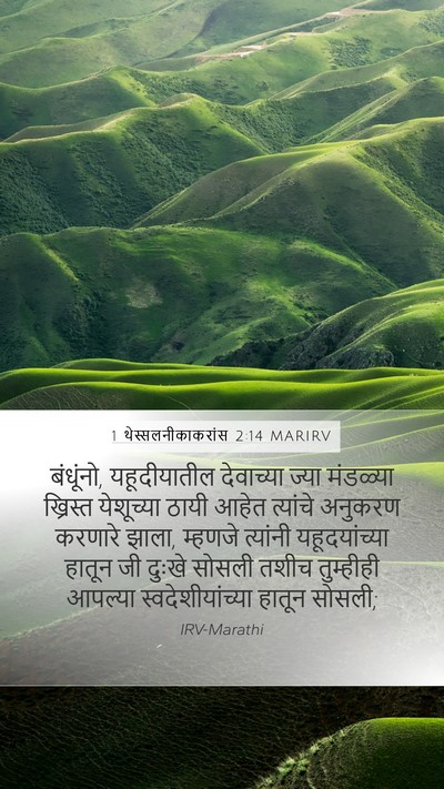 1 थेस्सलनीकाकरांस 2:14 MARIRV Bible Verse Image