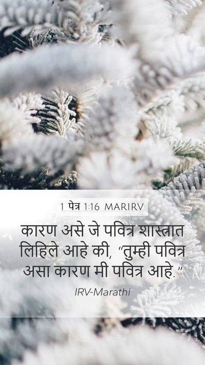 1 पेत्र 1:16 MARIRV Mobile Phone Wallpaper - कारण असे जे पवित्र - Mobile Bible Verse Wallpaper