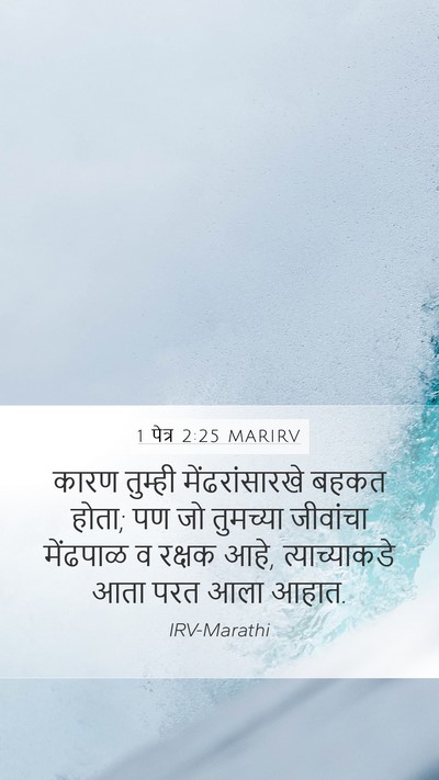 1 पेत्र 2:25 MARIRV Bible Verse Image