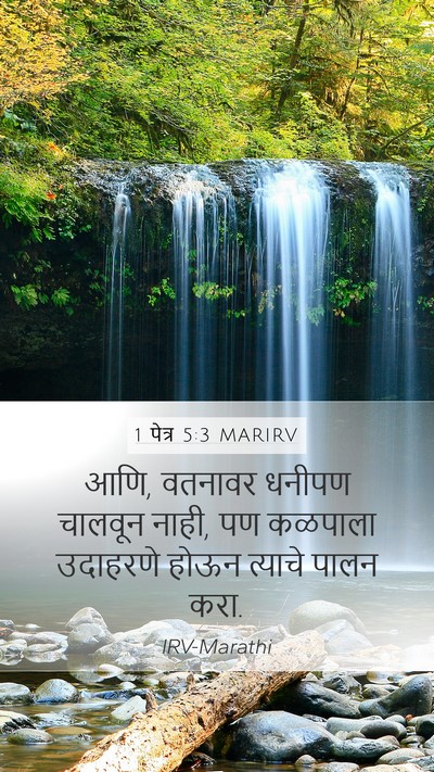 1 पेत्र 5:3 MARIRV Bible Verse Image