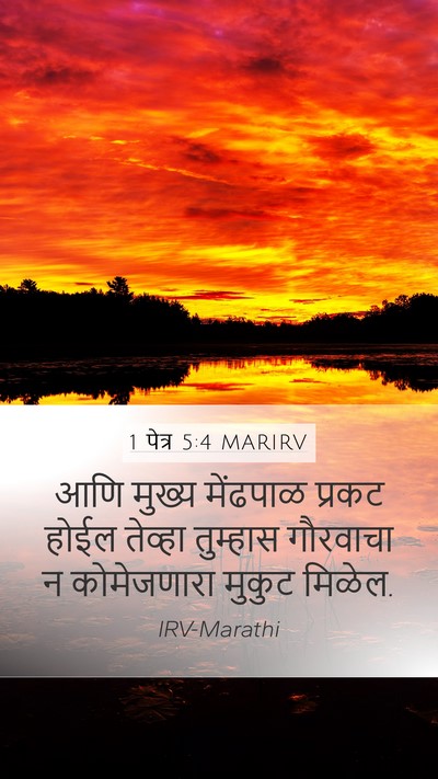 1 पेत्र 5:4 MARIRV Bible Verse Image