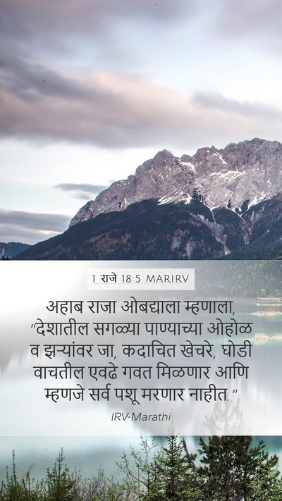 1 राजे 18:5 MARIRV Bible Verse Image