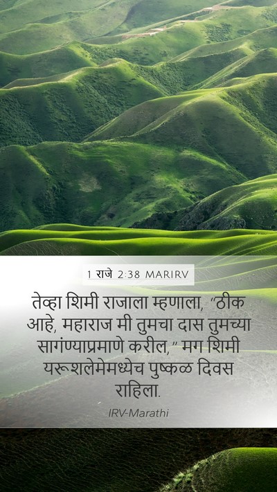 1 राजे 2:38 MARIRV Mobile Phone Wallpaper - तेव्हा शिमी - Mobile Bible Verse Wallpaper