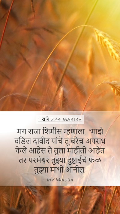 1 राजे 2:44 MARIRV Bible Verse Image