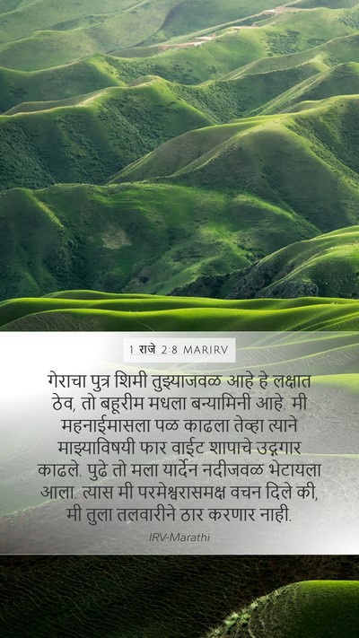 1 राजे 2:8 MARIRV Bible Verse Image