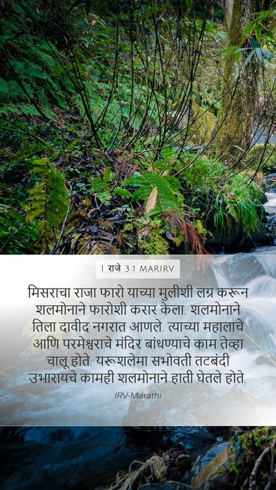 1 राजे 3:1 MARIRV Bible Verse Image