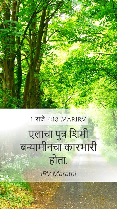 1 राजे 4:18 MARIRV Bible Verse Image