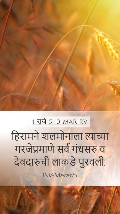 1 राजे 5:10 MARIRV Bible Verse Image