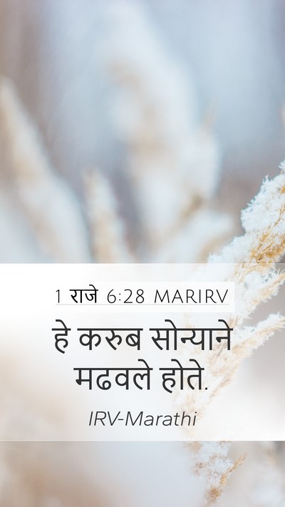 1 राजे 6:28 MARIRV Mobile Phone Wallpaper - हे करुब सोन्याने - Mobile Bible Verse Wallpaper