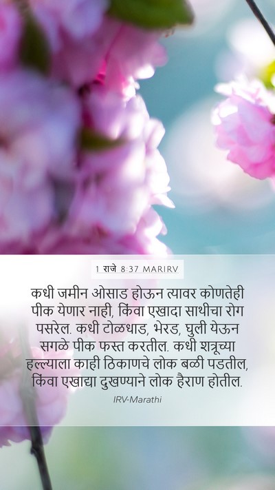 1 राजे 8:37 MARIRV Bible Verse Image