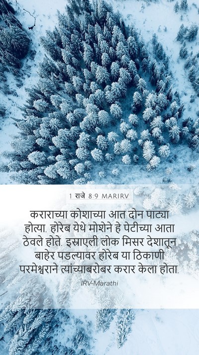 1 राजे 8:9 MARIRV Bible Verse Image