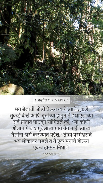 1 शमुवेल 11:7 MARIRV Bible Verse Image