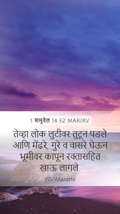 1 शमुवेल 14:32 MARIRV Mobile Phone Wallpaper - तेव्हा लोक लुटीवर - Mobile Bible Verse Wallpaper