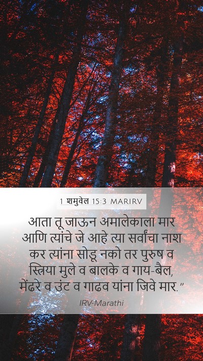 1 शमुवेल 15:3 MARIRV Bible Verse Image