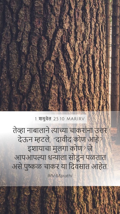 1 शमुवेल 25:10 MARIRV Bible Verse Image