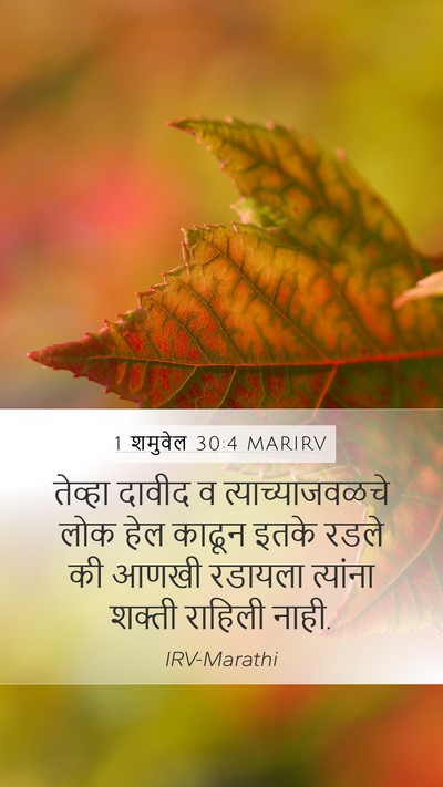1 शमुवेल 30:4 MARIRV Bible Verse Image