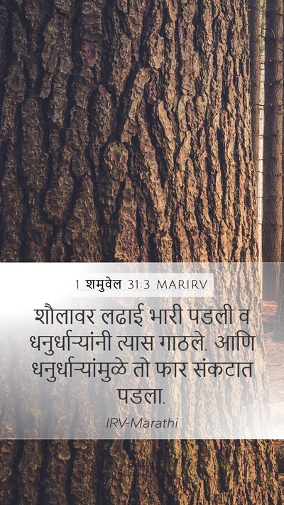1 शमुवेल 31:3 MARIRV Bible Verse Image