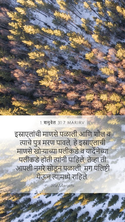 1 शमुवेल 31:7 MARIRV Bible Verse Image