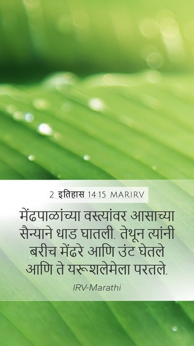2 इतिहास 14:15 MARIRV Mobile Phone Wallpaper - मेंढपाळांच्या - Mobile Bible Verse Wallpaper