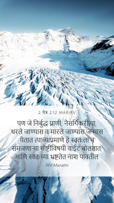 2 पेत्र 2:12 MARIRV Bible Verse Image