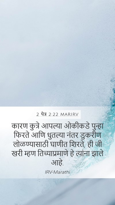 2 पेत्र 2:22 MARIRV Bible Verse Image