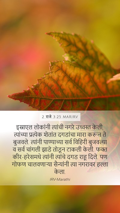 2 राजे 3:25 MARIRV Bible Verse Image