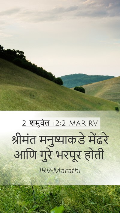 2 शमुवेल 12:2 MARIRV Mobile Phone Wallpaper - श्रीमंत - Mobile Bible Verse Wallpaper