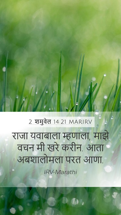 2 शमुवेल 14:21 MARIRV Mobile Phone Wallpaper - राजा यवाबाला - Mobile Bible Verse Wallpaper