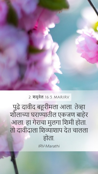 2 शमुवेल 16:5 MARIRV Bible Verse Image