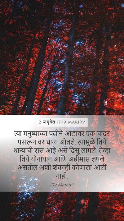 2 शमुवेल 17:19 MARIRV Bible Verse Image