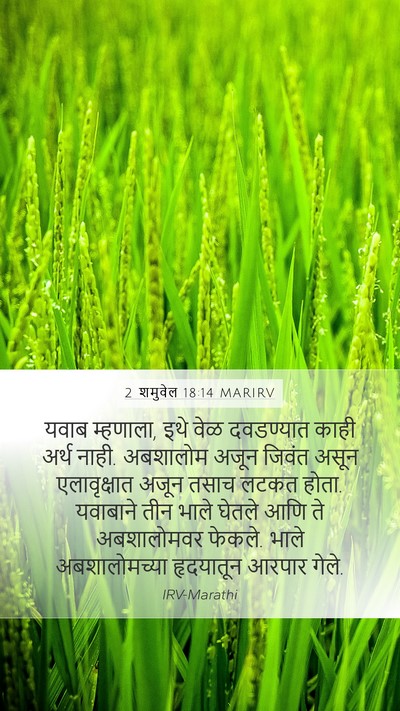 2 शमुवेल 18:14 MARIRV Bible Verse Image