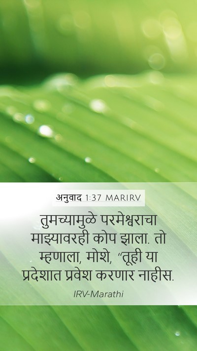अनुवाद 1:37 MARIRV Bible Verse Image