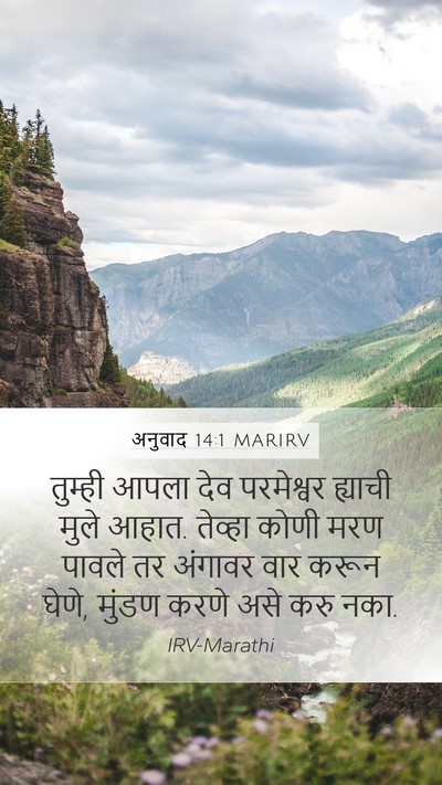 अनुवाद 14:1 MARIRV Bible Verse Image