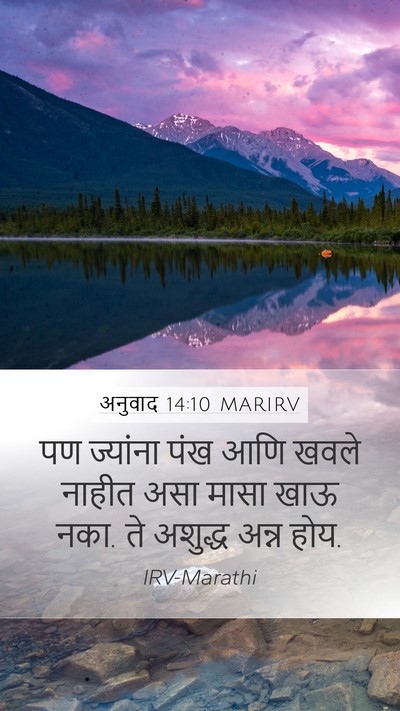 अनुवाद 14:10 MARIRV Mobile Phone Wallpaper - पण ज्यांना पंख आणि - Mobile Bible Verse Wallpaper