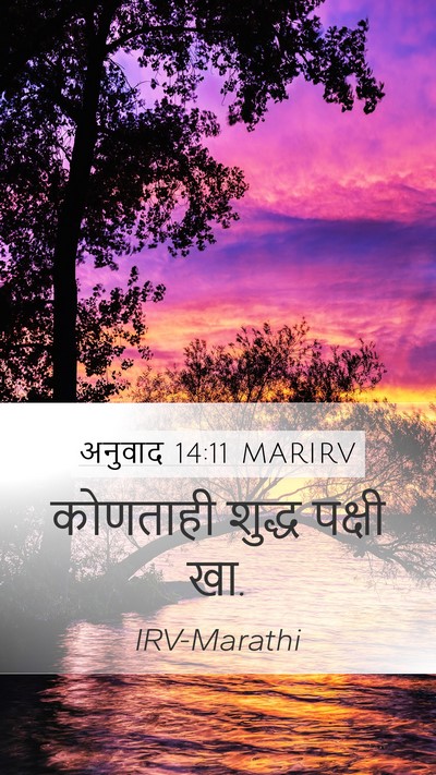 अनुवाद 14:11 MARIRV Mobile Phone Wallpaper - कोणताही शुद्ध - Mobile Bible Verse Wallpaper